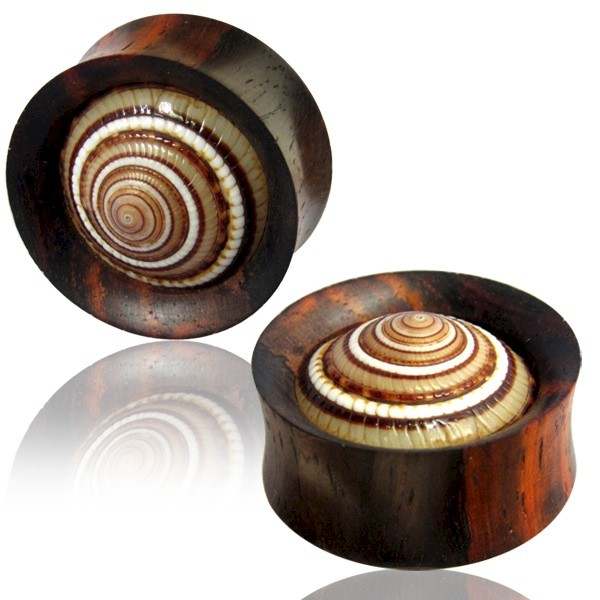 NARRA WOOD & CONE SHELL FLESH PLUG